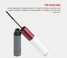 Load image into Gallery viewer, Mascara &amp; Brow Duo
